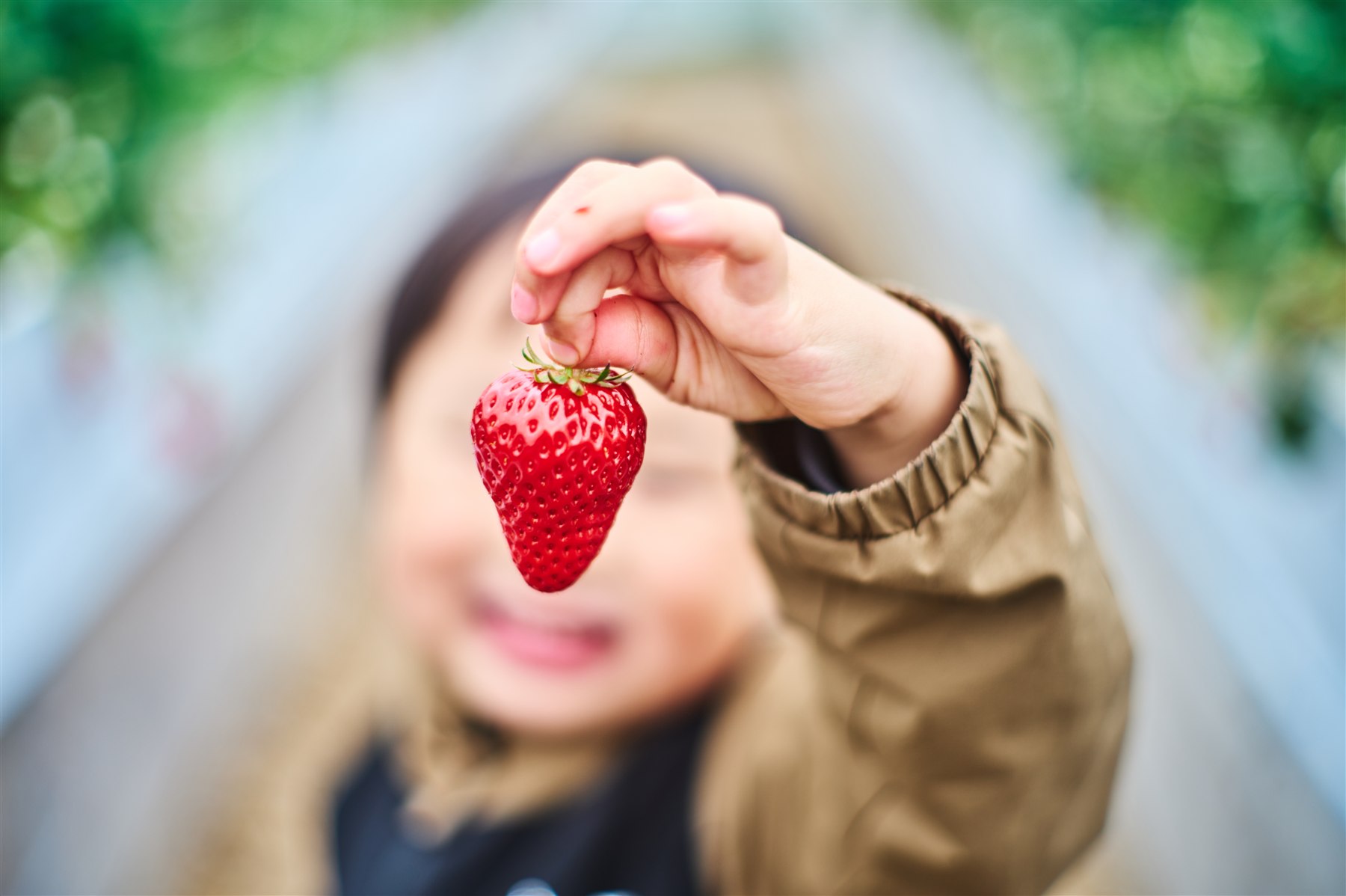 いちごをぶら下げて、笑顔で見せてくれる子供